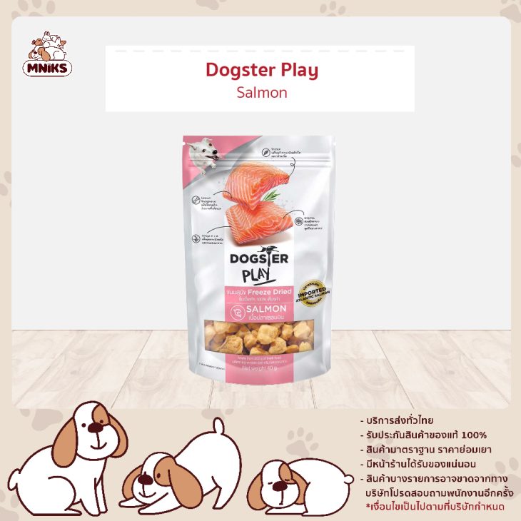 Dogster Play สูตรเนื้อปลาแซลมอน (Salmon)