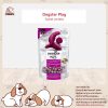 Dogster Play สูตรมันม่วง (Sweet potato)