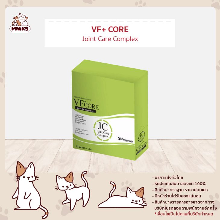 VFcore JC-วีเอฟฟลัส คอร์